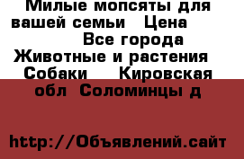 Милые мопсяты для вашей семьи › Цена ­ 20 000 - Все города Животные и растения » Собаки   . Кировская обл.,Соломинцы д.